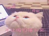 云霄县巧兰百货店