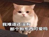 云霄县巧兰百货店