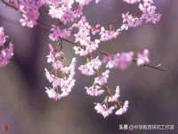 云霄县巧兰百货店
