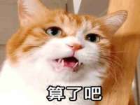 云霄县巧兰百货店