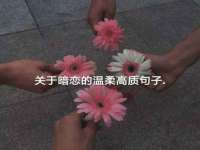 云霄县巧兰百货店