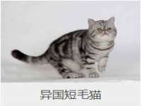 云霄县巧兰百货店