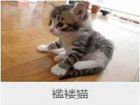 云霄县巧兰百货店