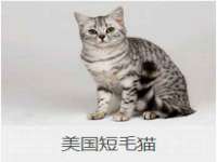 云霄县巧兰百货店