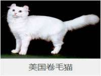 云霄县巧兰百货店
