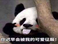 云霄县巧兰百货店