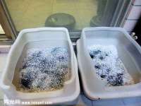 云霄县巧兰百货店