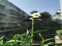 云霄县巧兰百货店