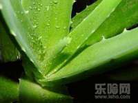 云霄县巧兰百货店