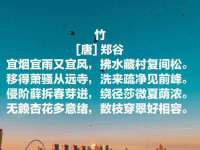 云霄县巧兰百货店