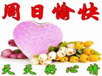 云霄县巧兰百货店