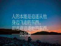 云霄县巧兰百货店