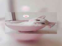 云霄县巧兰百货店
