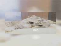 云霄县巧兰百货店