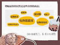 云霄县巧兰百货店