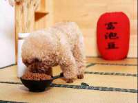 云霄县巧兰百货店