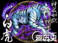 云霄县巧兰百货店