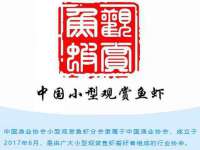 云霄县巧兰百货店