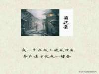 云霄县巧兰百货店