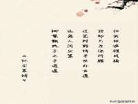 云霄县巧兰百货店