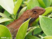 云霄县巧兰百货店