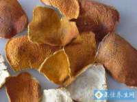 云霄县巧兰百货店