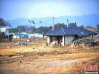 云霄县巧兰百货店